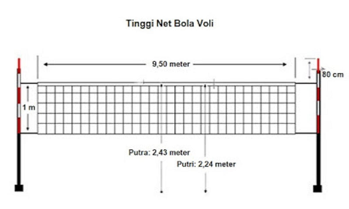 Ukuran net bola voli